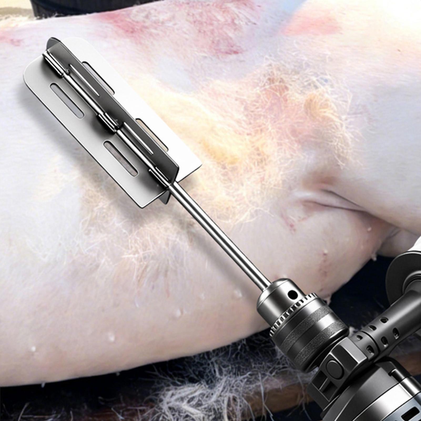 Hog Hair Removal Tool Stainles - Power Tools For Workshop review and price
